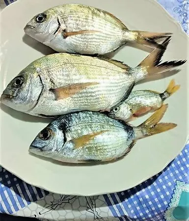 La Pergola Di * Pomonte