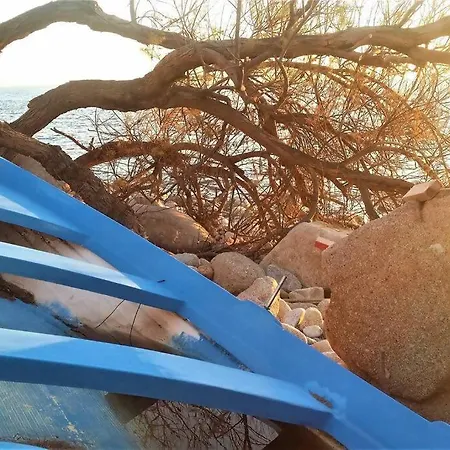 La Pergola Di Appartamento