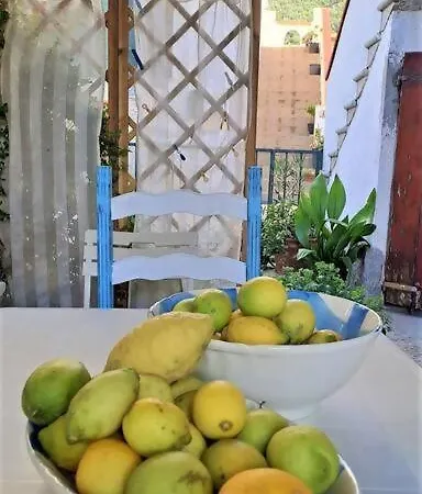 La Pergola Di Appartamento