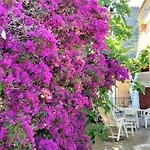 La Pergola Di Appartement *