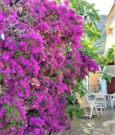 La Pergola Di Διαμέρισμα *