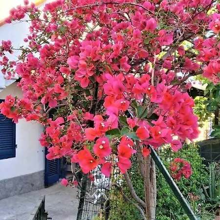 La Pergola Di