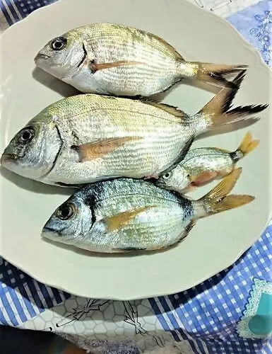 La Pergola Di * Помонте